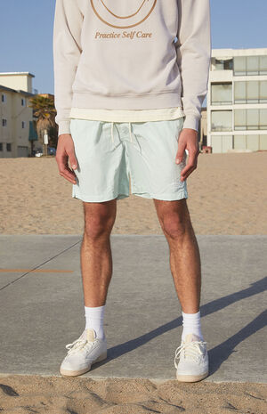 Collegiate Solid Swim Trunks image number 2