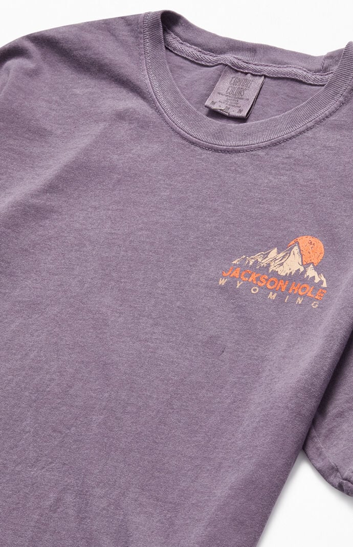 Jackson Hole T Shirt Pacsun