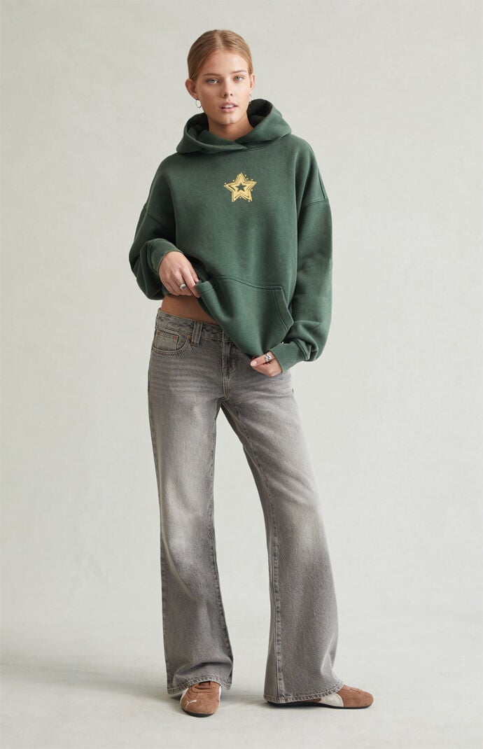 Pacsun Charlie Low Rise Baggy Bootcut Jeans Gray