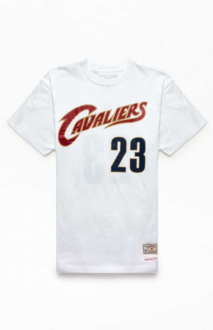 lebron mitchell and ness