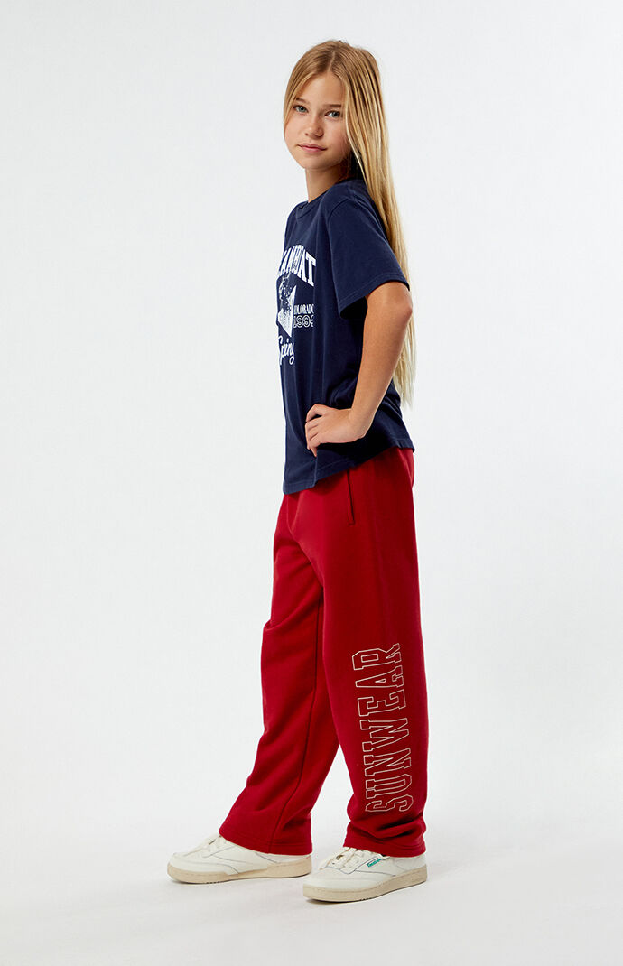 PacSun Kids Pacific Sunwear Baggy Sweatpants | PacSun