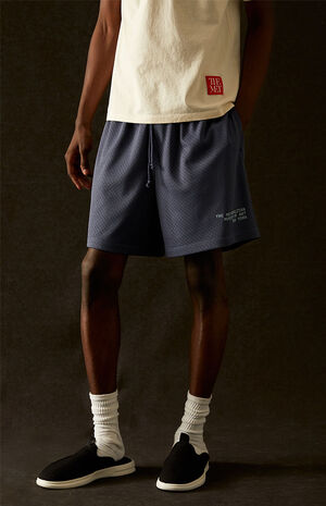 x PacSun Mesh Shorts image number 1