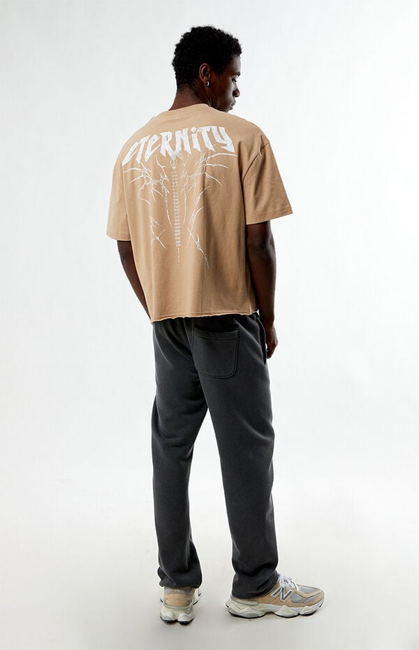 Pacsun Eternity Cropped Boxy T-Shirt