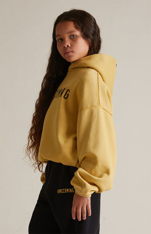 Kids Amber Heavy Fleece Hoodie image number 3