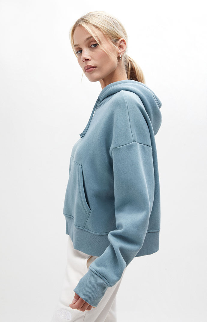 Pacsun north face hoodie 2025