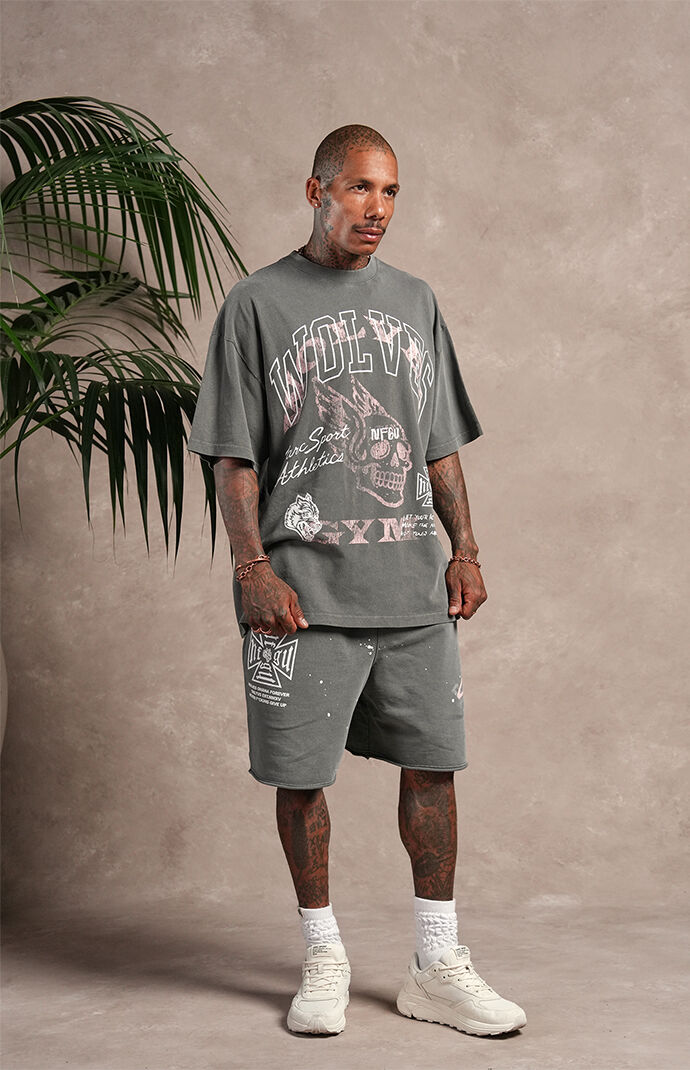 DARC SPORT ATHLETICS Mori Premium Oversized T-Shirt | Pacsun