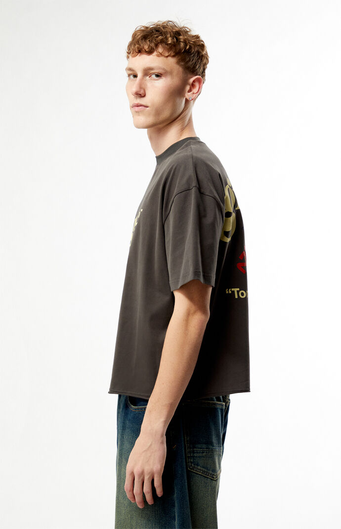 Pacsun Graphic Cropped Boxy T-Shirt