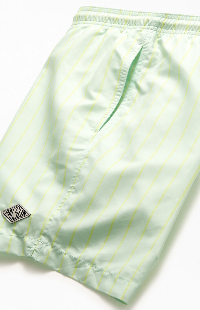 Mint Pinstripe 17" Swim Trunks