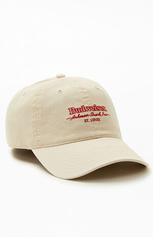 By PacSun St. Louis Dad Hat image number 3