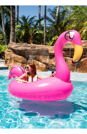 Tube Runner Motorized Flamingo Pool Float image number 5