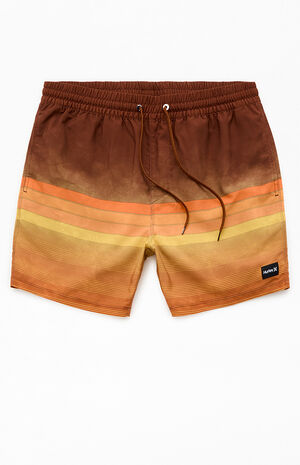 Cannonballl Volley 6" Swim Trunks image number 1