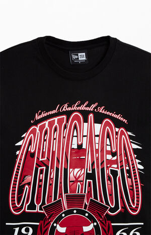 Chicago Bulls Sport Classics T-Shirt image number 2