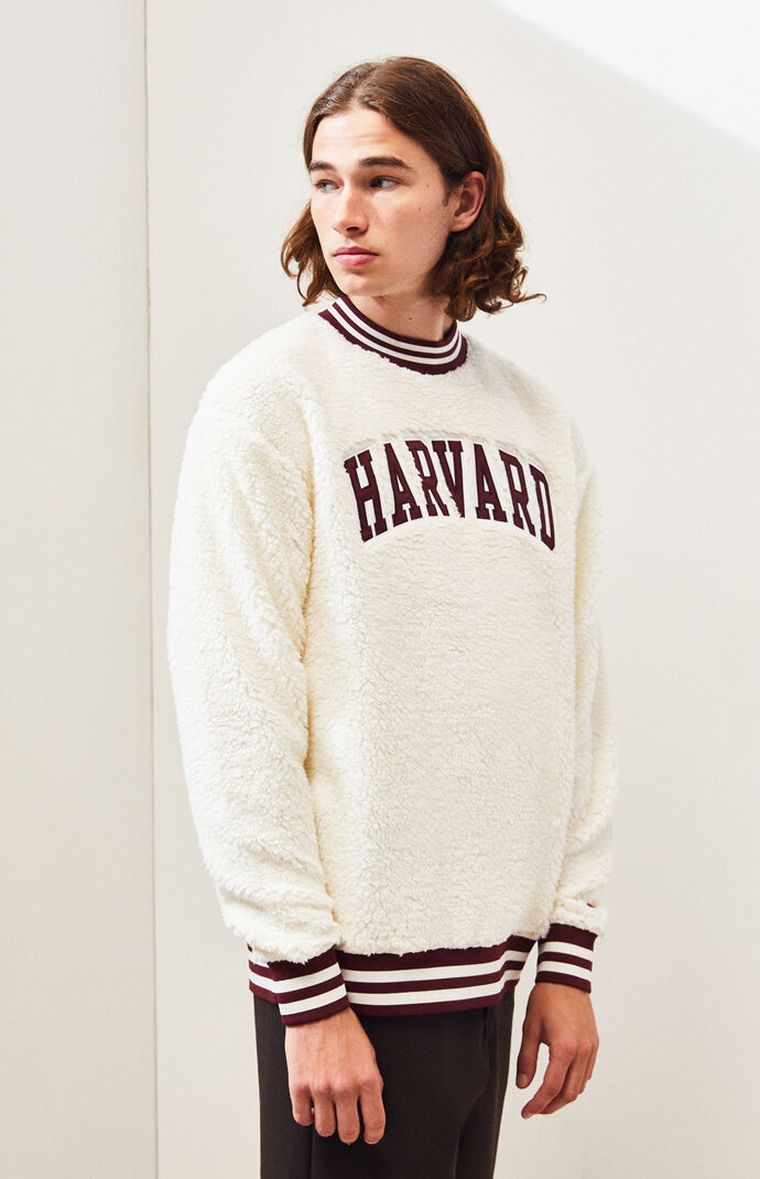 champion x harvard hoodie