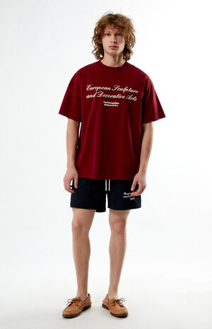 x PacSun Burgundy ESDA T-Shirt image number 4