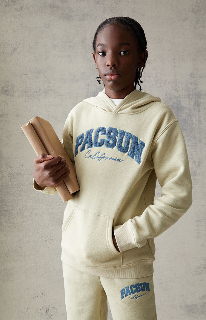PacSun Kids Basic Fleece Hoodie PacSun