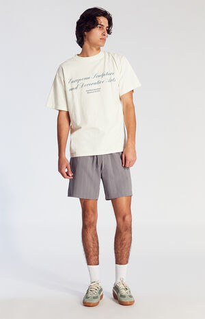 Gray Striped Volley Shorts image number 5