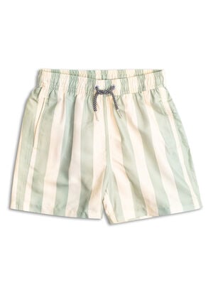 Kids Fistral Stripe Swim Trunks image number 1