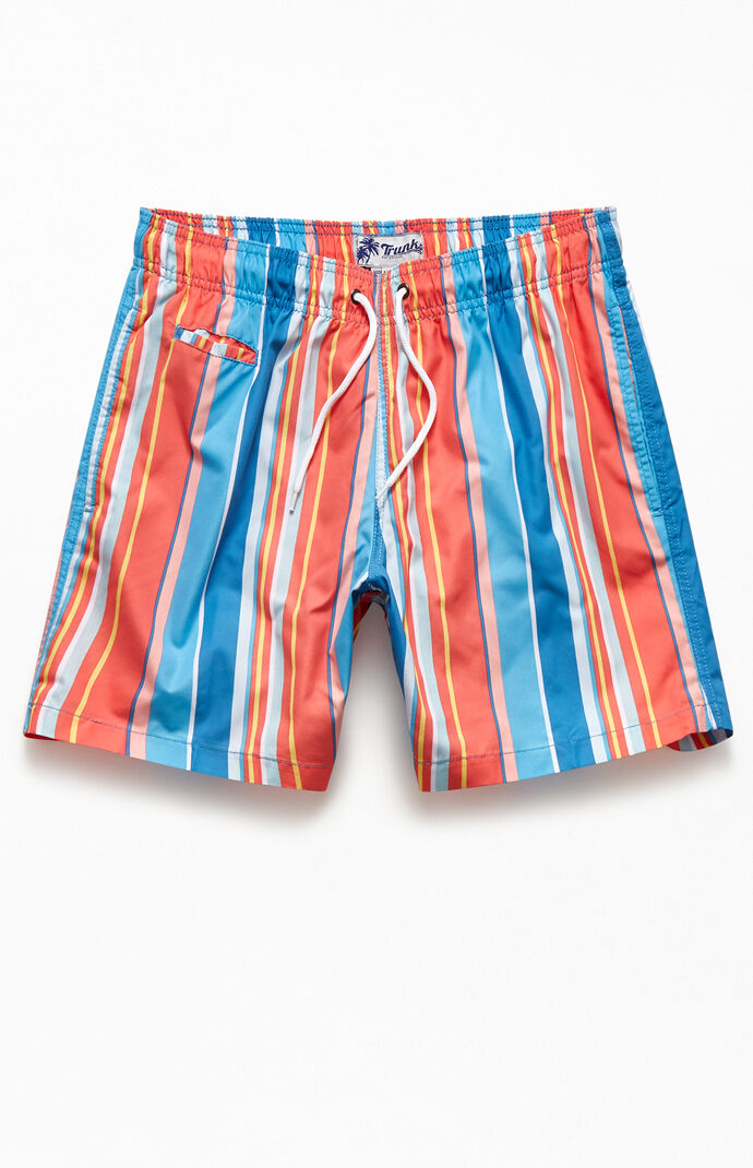 Multicolored Striped 17" Swim Trunks