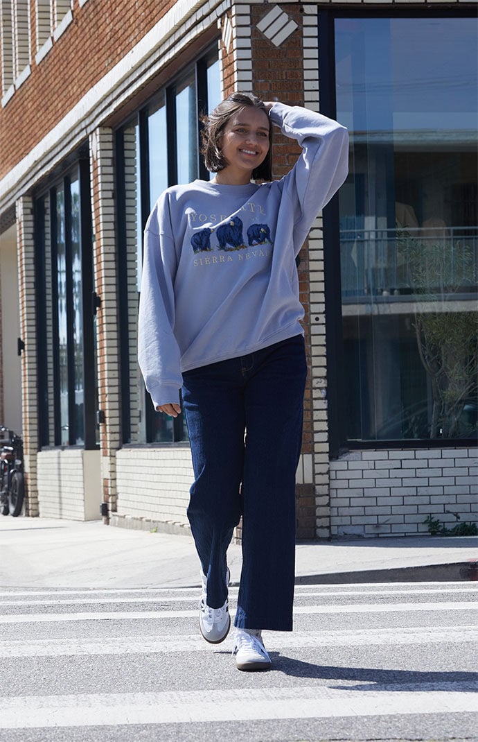 Pacsun deals yosemite hoodie