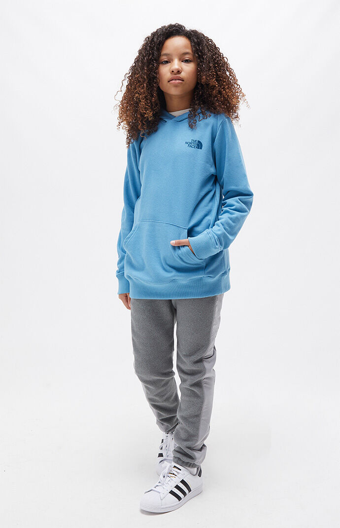 Pacsun north sales face hoodie