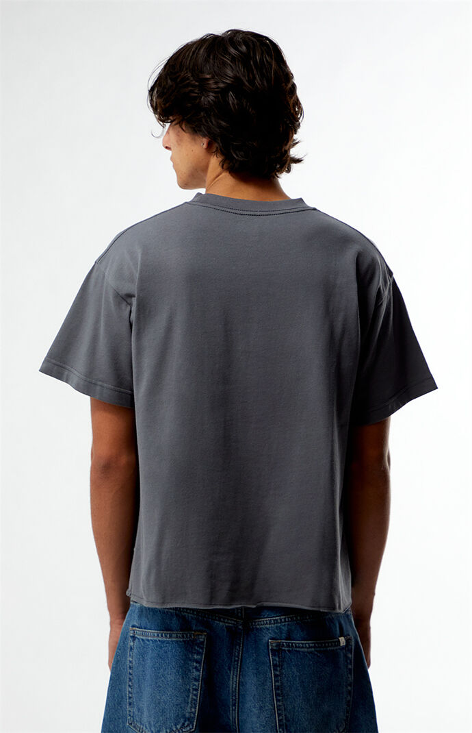 Pacsun Premium Cropped T-Shirt