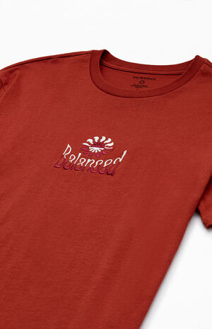 Eco Balanced T-Shirt image number 6