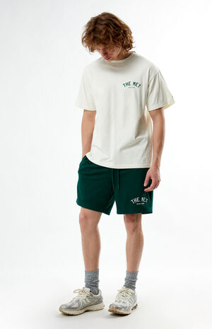 x PacSun Academy Mesh Shorts image number 2