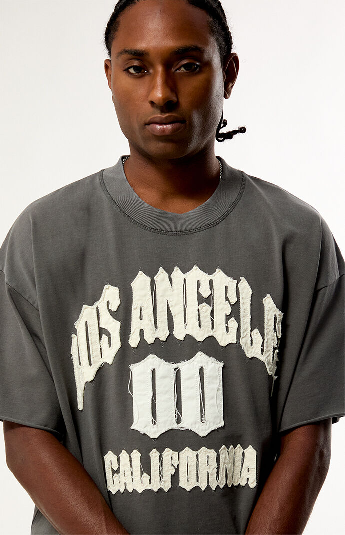Pacsun LA Applique Knit T-Shirt