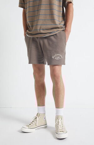 By PacSun Brown Terry Sweat Shorts image number 2