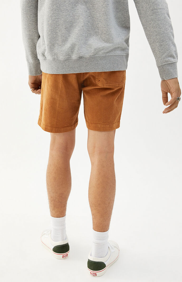 Big Bear Walk Shorts