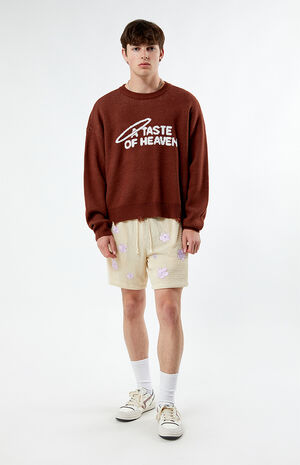 Cream Flower Crochet Shorts image number 4