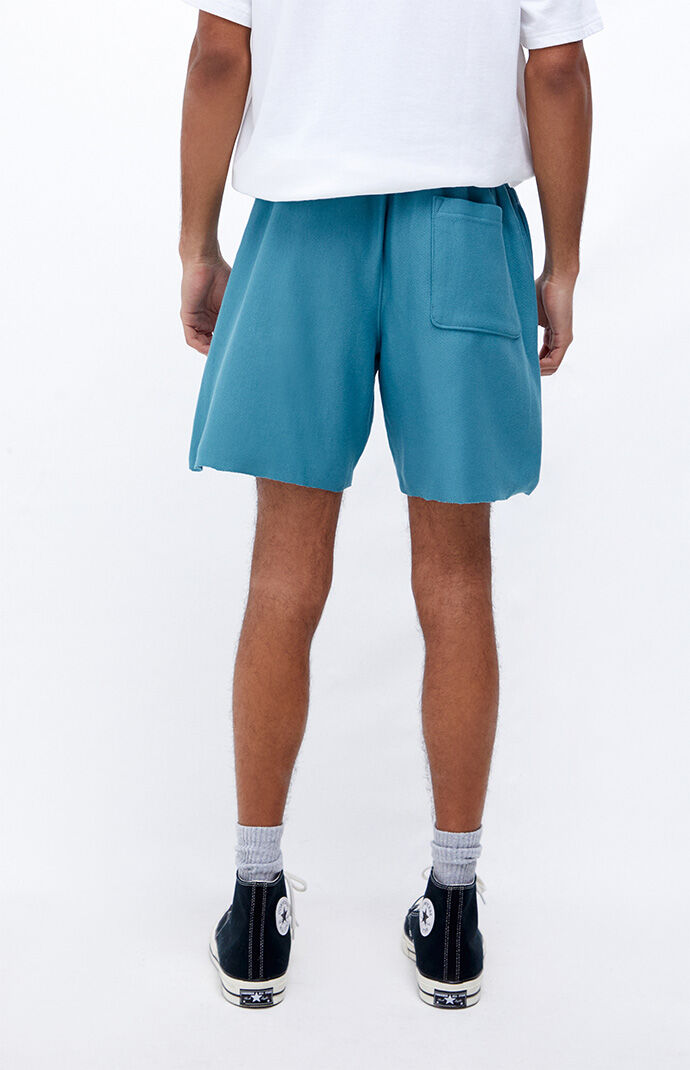 Pacsun reverse top weave shorts