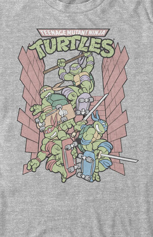 TMNT Teenage Mutant Ninja Turtles Men's and Big Men's Graphic Tee Shirts, 2-Pack Bundle, Size: Small, Gray