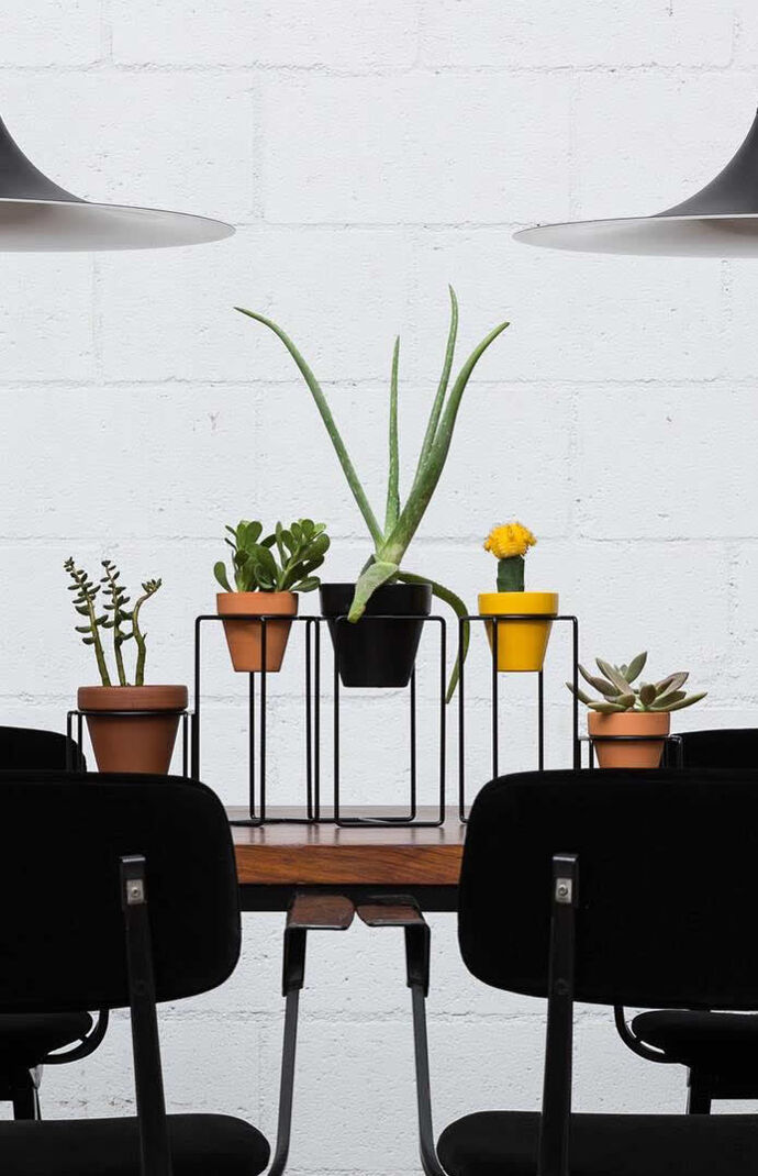 Black Desk Planter