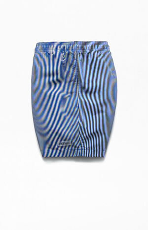Blue Stripe 15" Swim Trunks image number 3