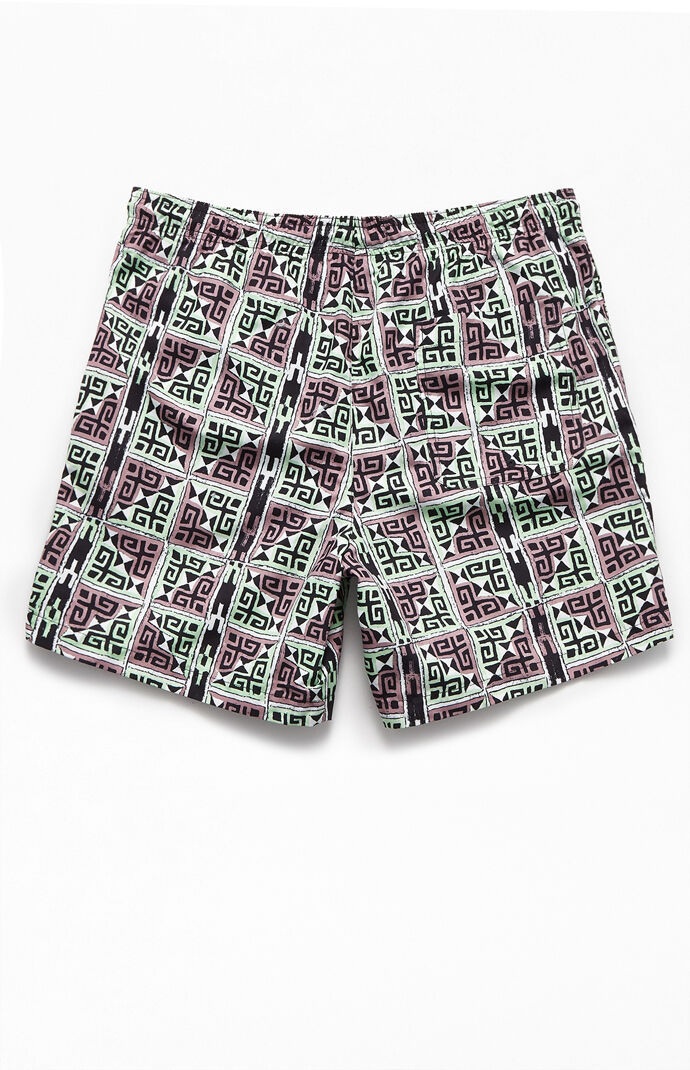 Geo 17" Swim Trunks