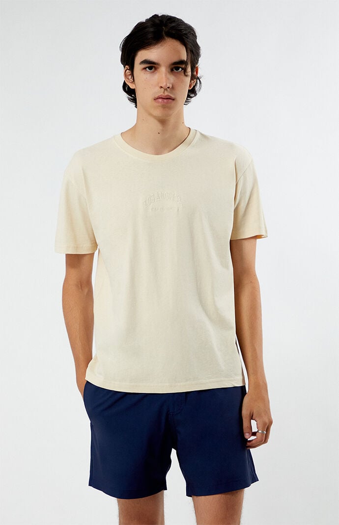 Pacsun LA Embroidered T-Shirt