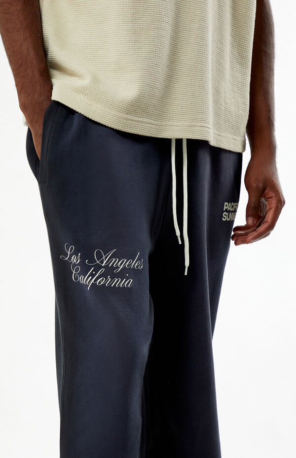 Pacsun Washed Black Terrain Straight Leg Sweatpants