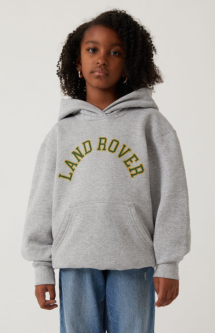 Pacsun hotsell grey hoodie