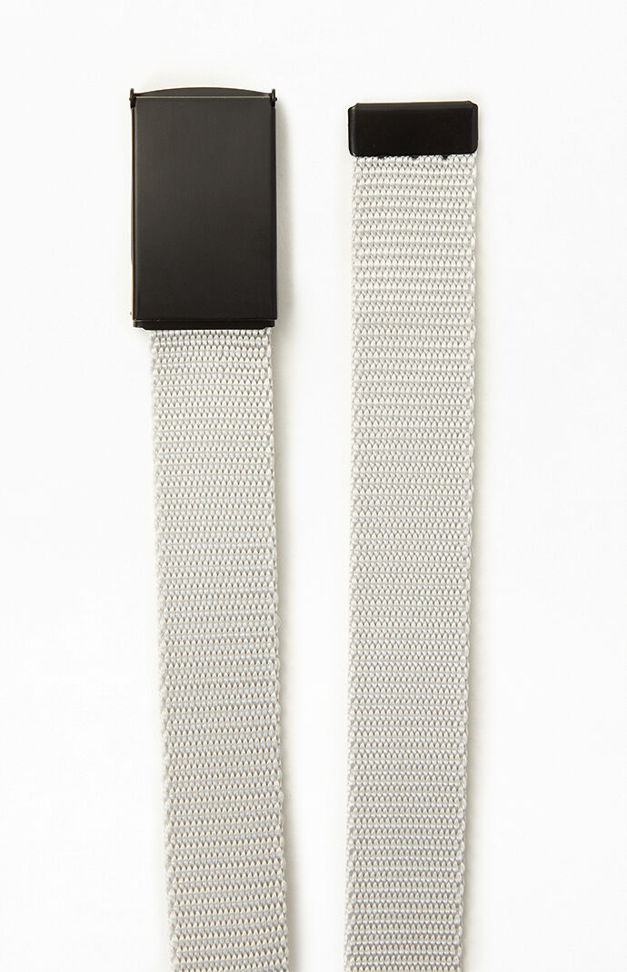 Silver Webbed Belt