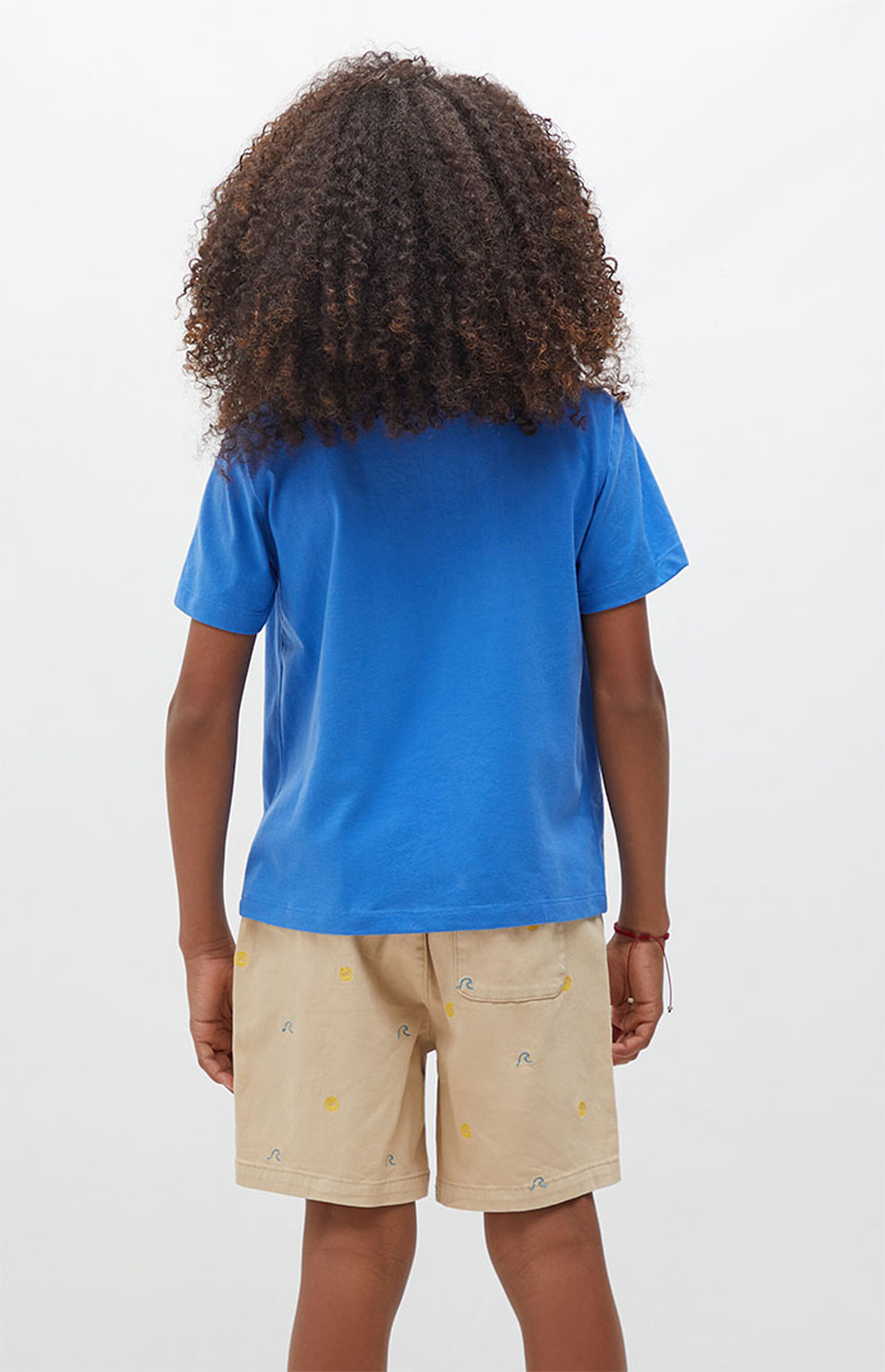 PacSun Kids Erik Volley Shorts PacSun