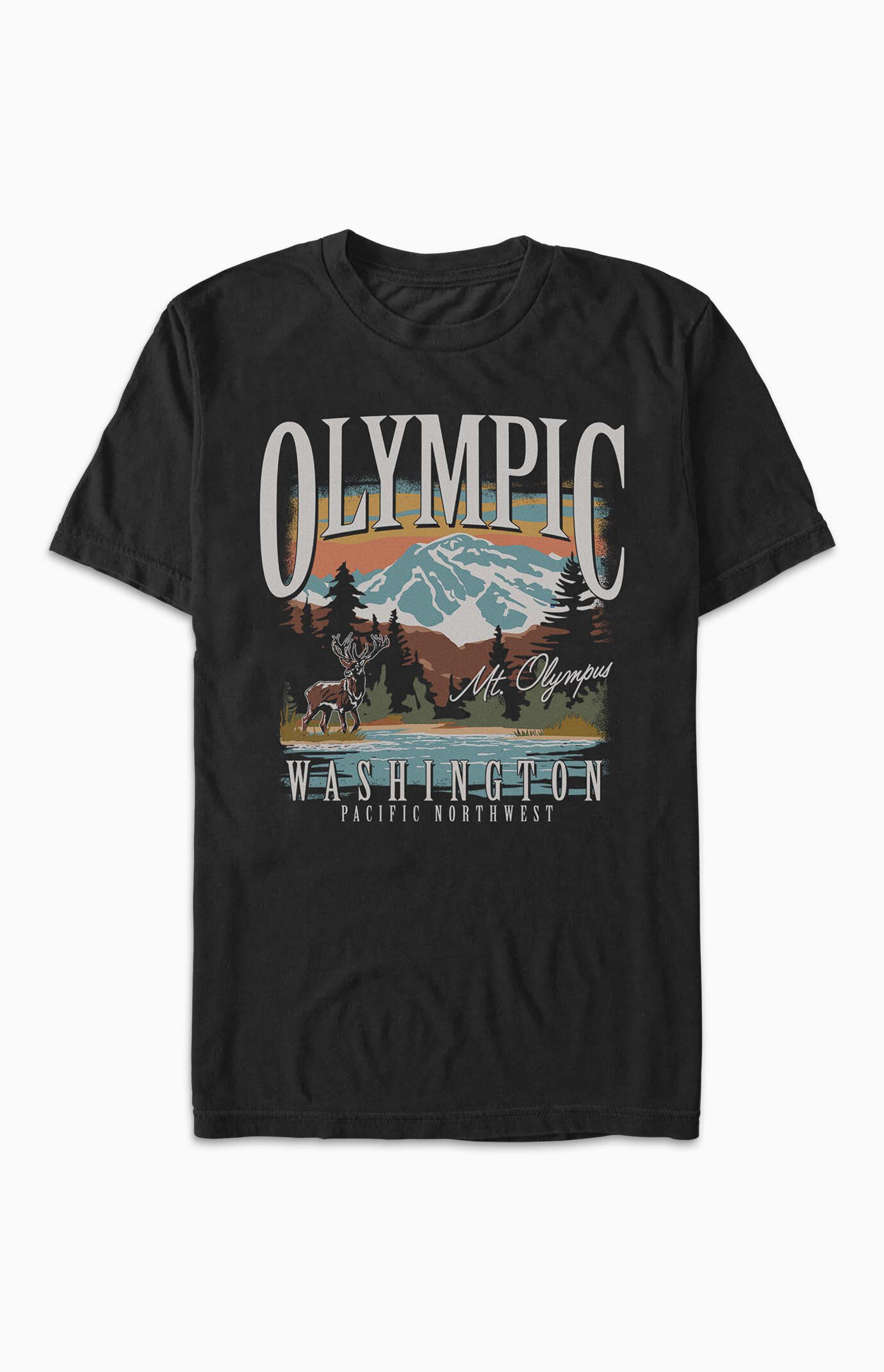 PacSun Olympic Washington T-Shirt