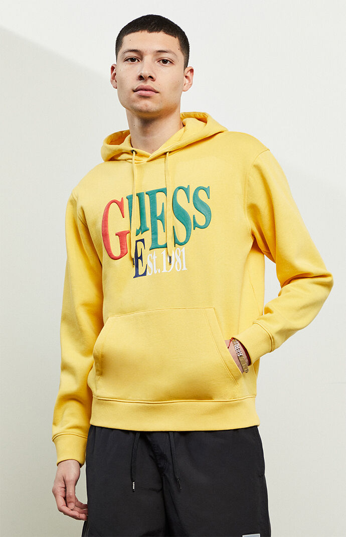 Pacsun guess hoodie