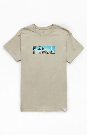 Palm Trees Box Logo T-Shirt