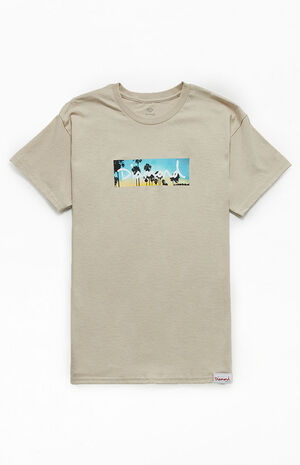 Palm Trees Box Logo T-Shirt image number 1