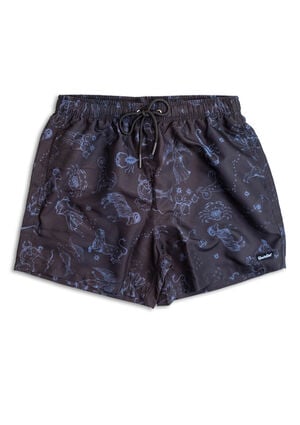 Stargaze 4.7" Swim Trunks image number 1