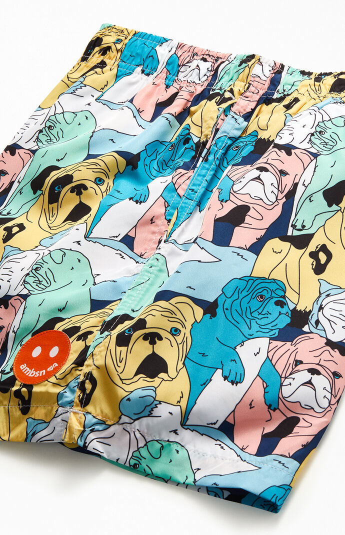 Bruiser 14" Swim Trunks