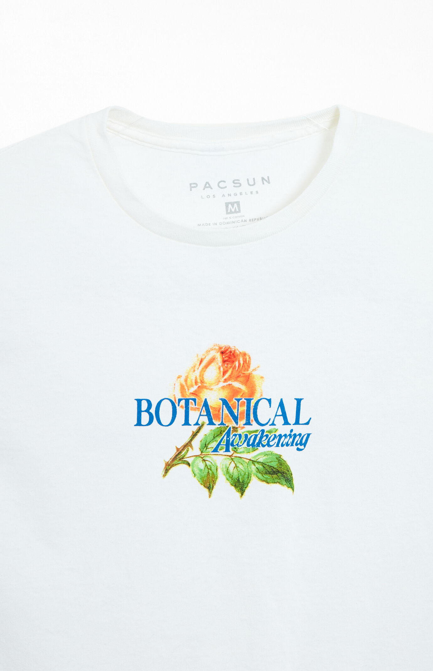 Tシャツ・カットソー New Era College Graphic T-Shirt Botanical Garden Institute City of the Future - Futuristic Utopia Green