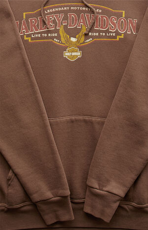 2000s Harley Davidson Brown Pullover Hoodie image number 3