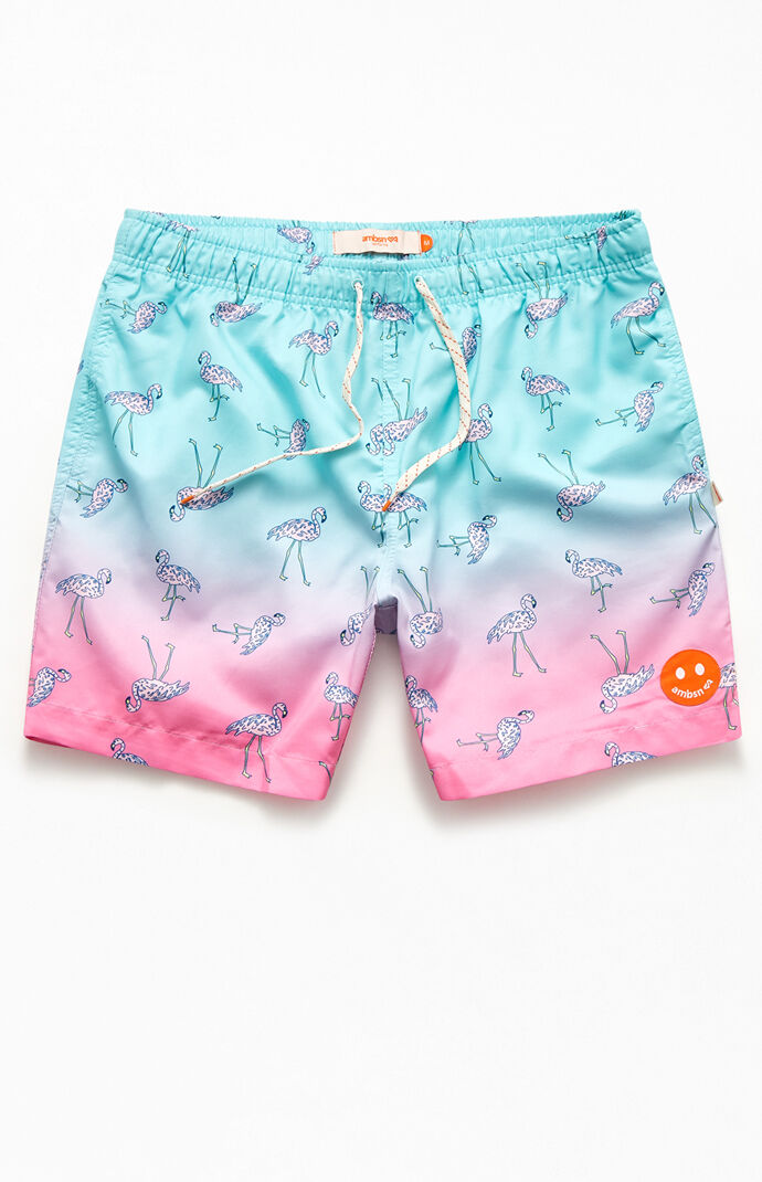 Flamingo Ombre 17" Swim Trunks